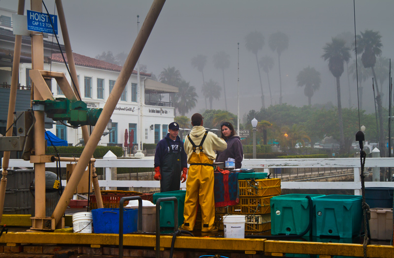 Fresh Fish