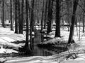 Trails