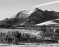 _MG_2825-Edit.jpg