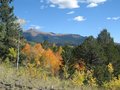 IMG_2520.jpg