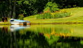 The Pond Garden