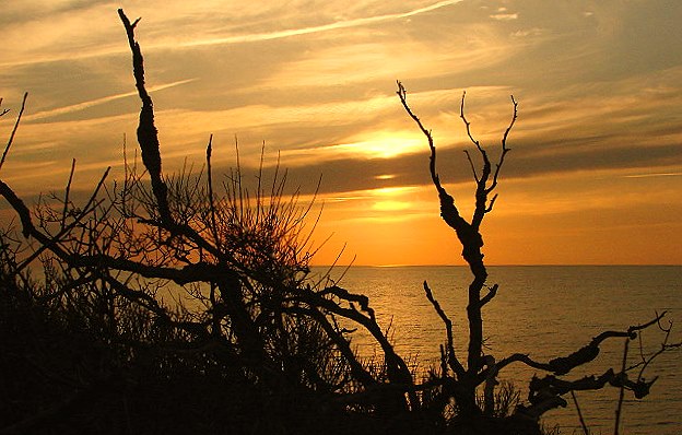 Sunset At Cape Cod Bay - Edit