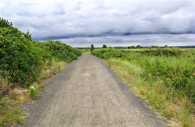 Leading To Nowhere