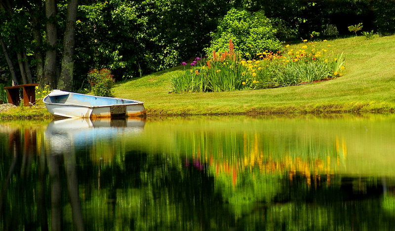 The Pond Garden