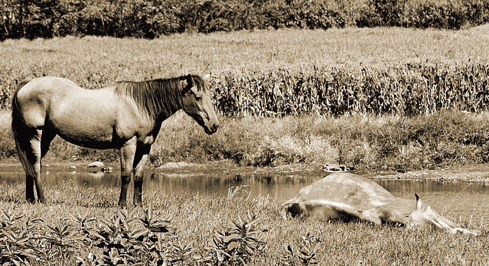 Death of A Friend