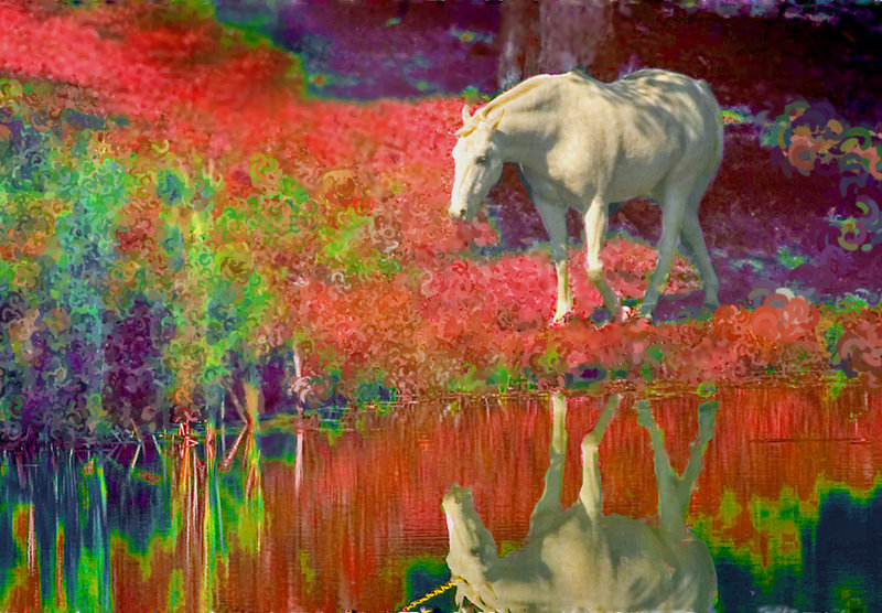 unicorneyeimpression.jpg
