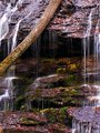 StationCoveFallsDetail.jpg