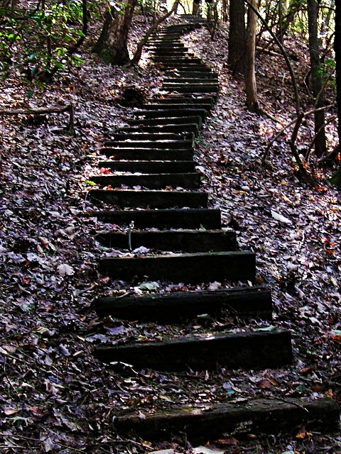 stepsathelens.jpg