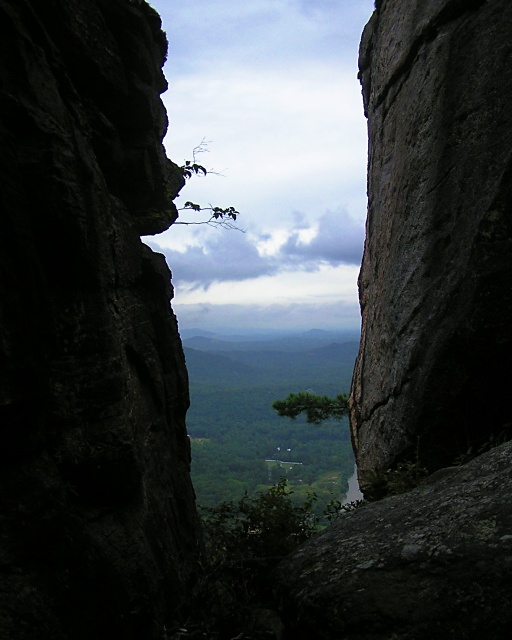 Crevice View