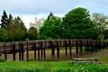 Fern Ridge