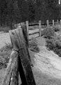 fence-line.jpg