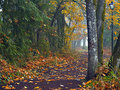 Pathway to the Tailgate