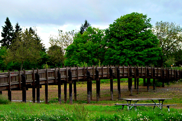 Fern Ridge