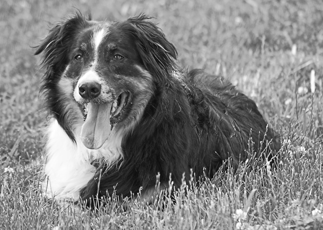 Berg 06-29-07