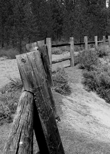 fence-line.jpg
