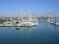 BEAUTIFUL BOATS.JPG