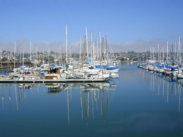 BEAUTIFUL BOATS.JPG