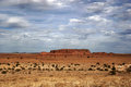 Painted Desert 5277.jpg