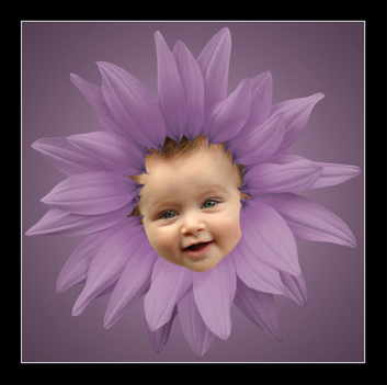 Joey purple under.jpg