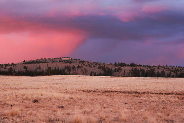 Mt Sunset 5205.jpg