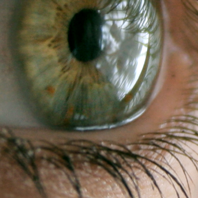 Eye 4282.jpg