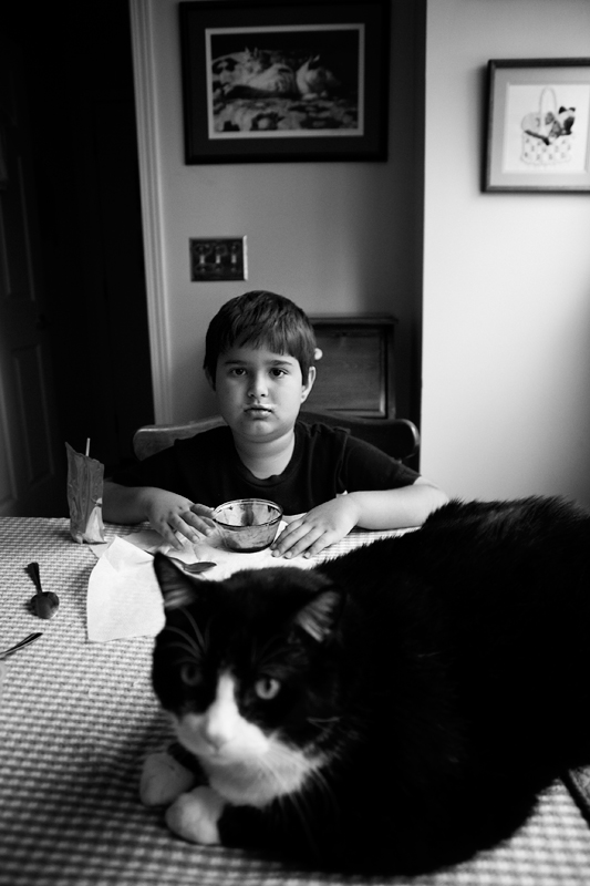 A cat's world.