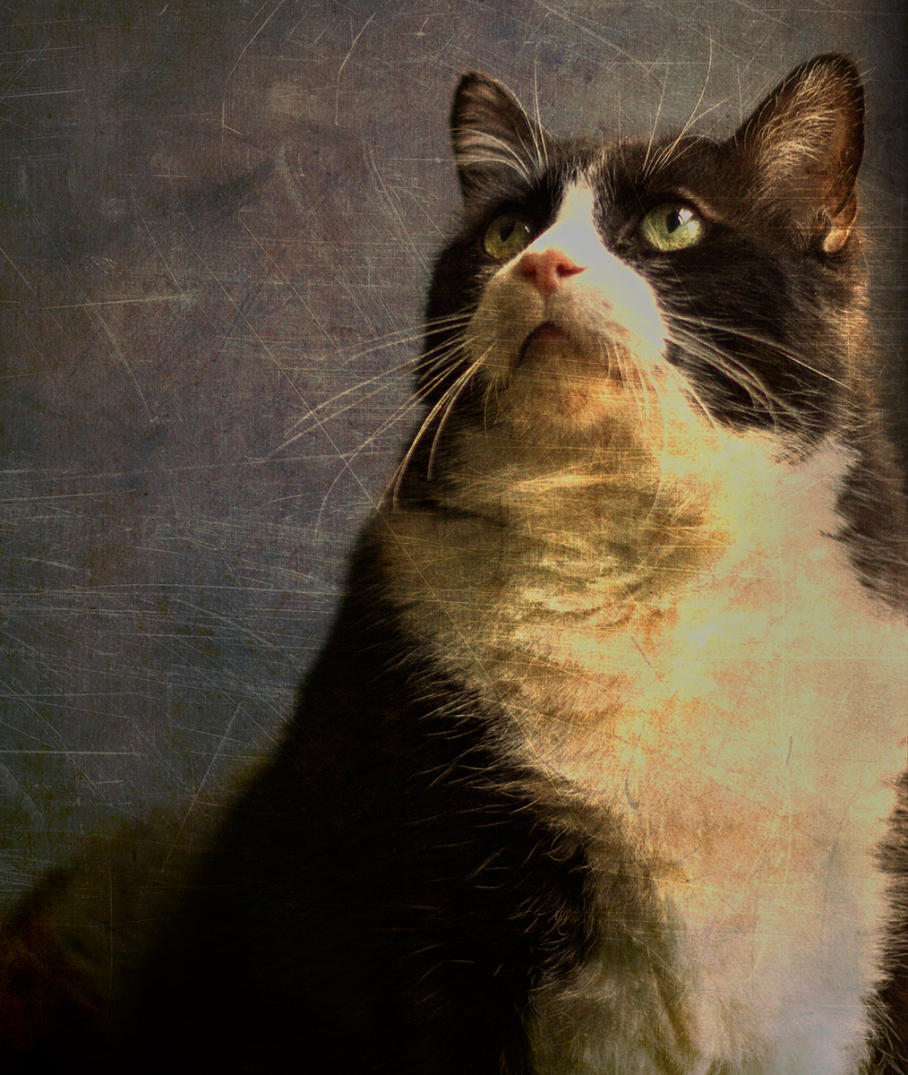 Tux
