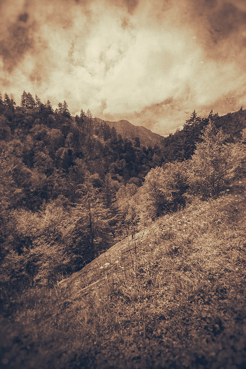Smoky Morning