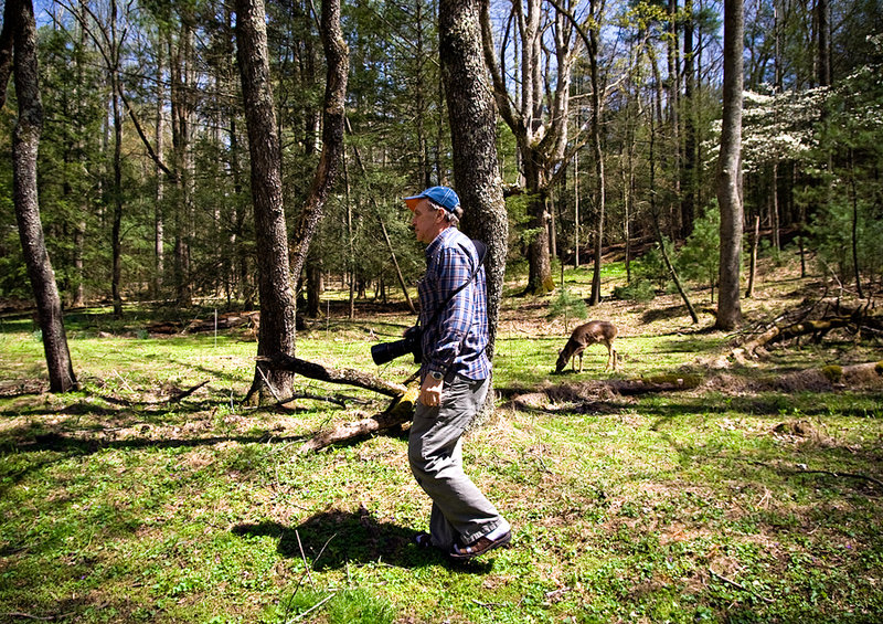 Shooting Deer