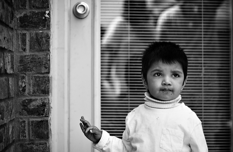 Avishi Wonders