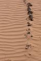 sand and stones