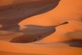 dunes in the evening light