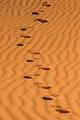 footprints