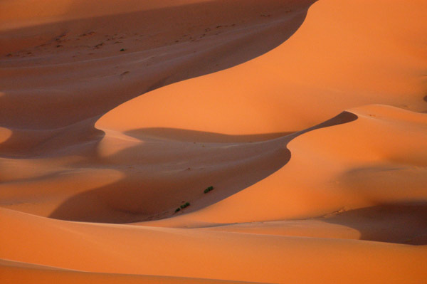 dunes in the evening light