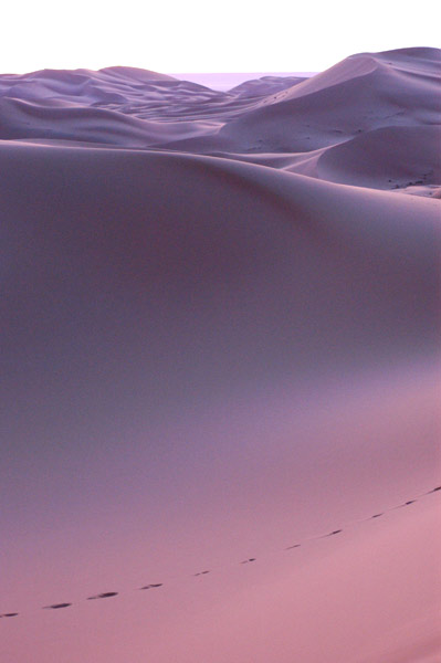 dunes in the early morning light