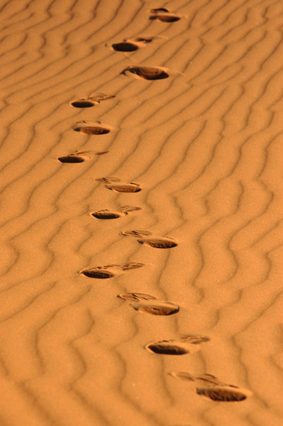 footprints