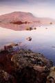 Misty Rannoch Dawn