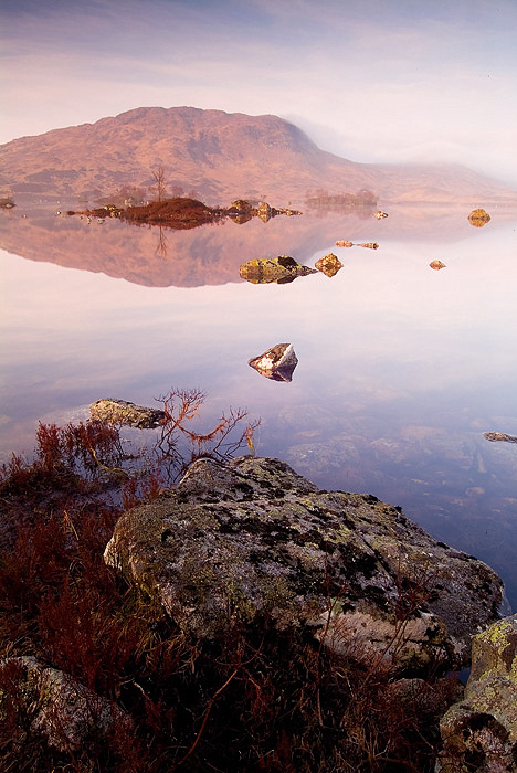 Misty Rannoch Dawn