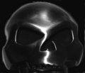 The Skulls