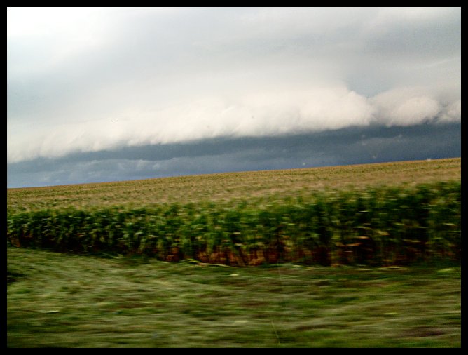 Storm Field