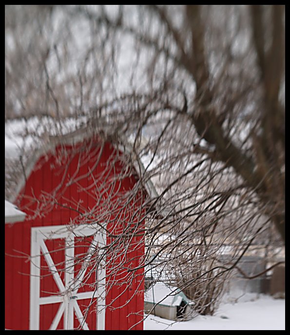 Little Red Shed