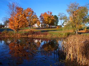 Autumn_Reflections.jpg