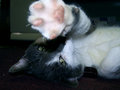 Day 15 - No Pictures Please
