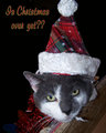 Day 16 - Waiting for the holidays to end...
