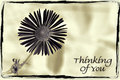 Thinking of You
