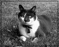 Day 27 - Rusty McGoo
