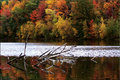 Day 20 - Fall Foliage