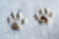 Day 20 - Snowy Footprints
