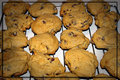Day 23 - Chocolate Chipper Champs!