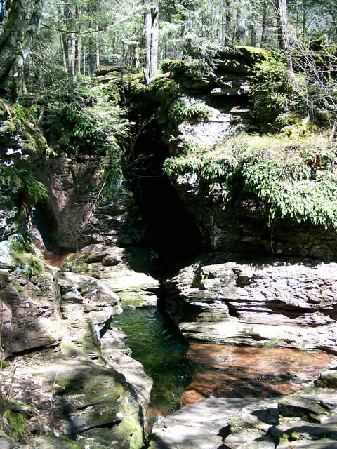 Adams Falls
